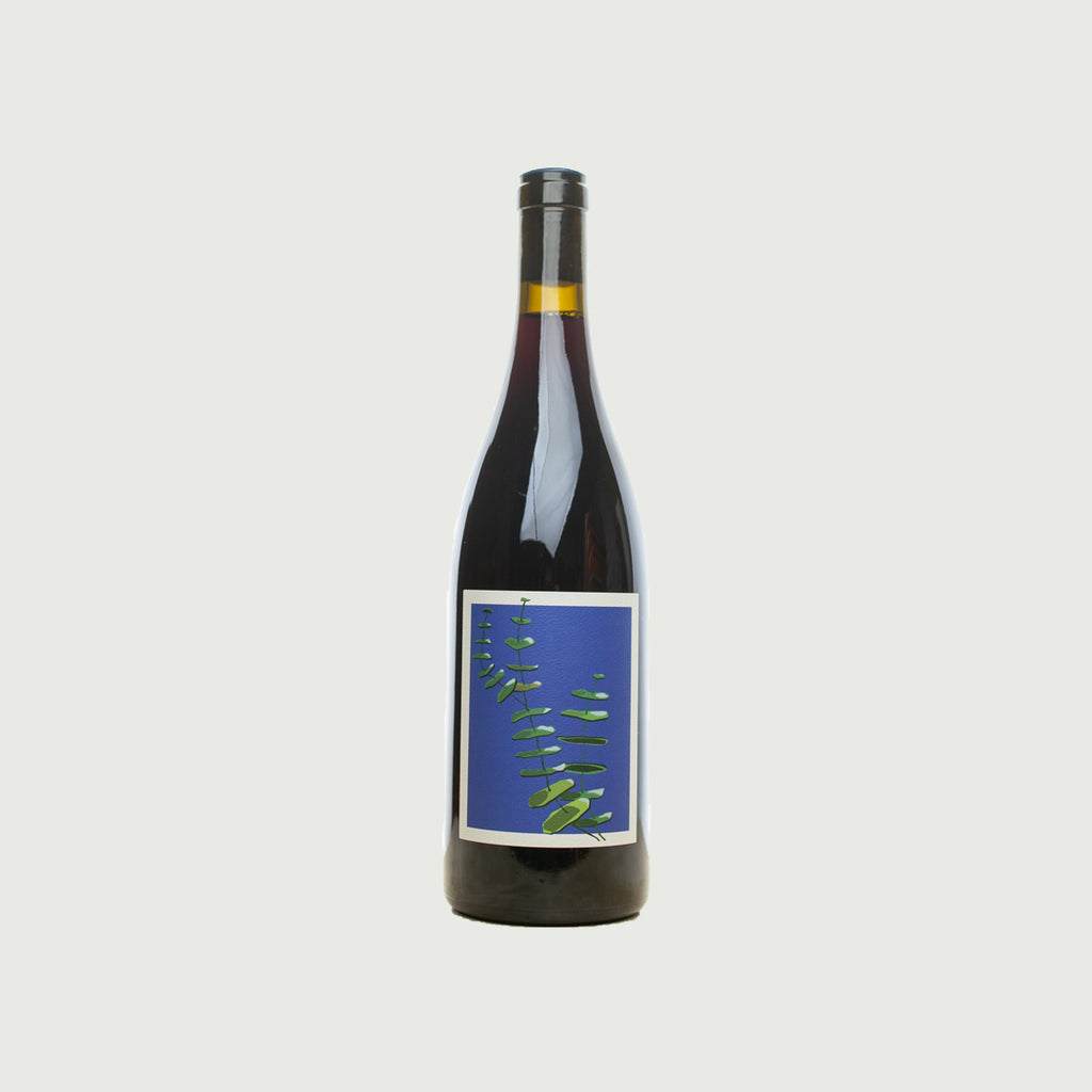 Basket Range Wine - 2021 Estate Pinot Noir