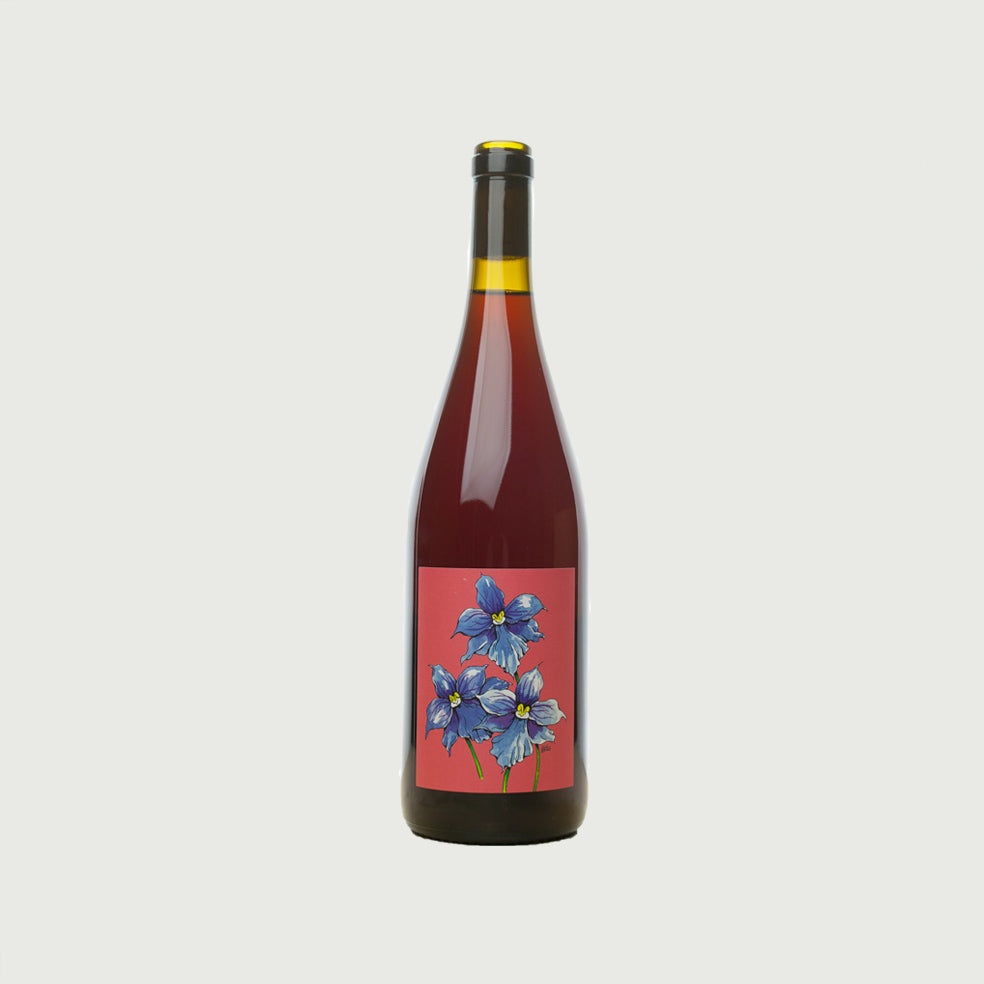Borachio - 2019 Pinot Noir