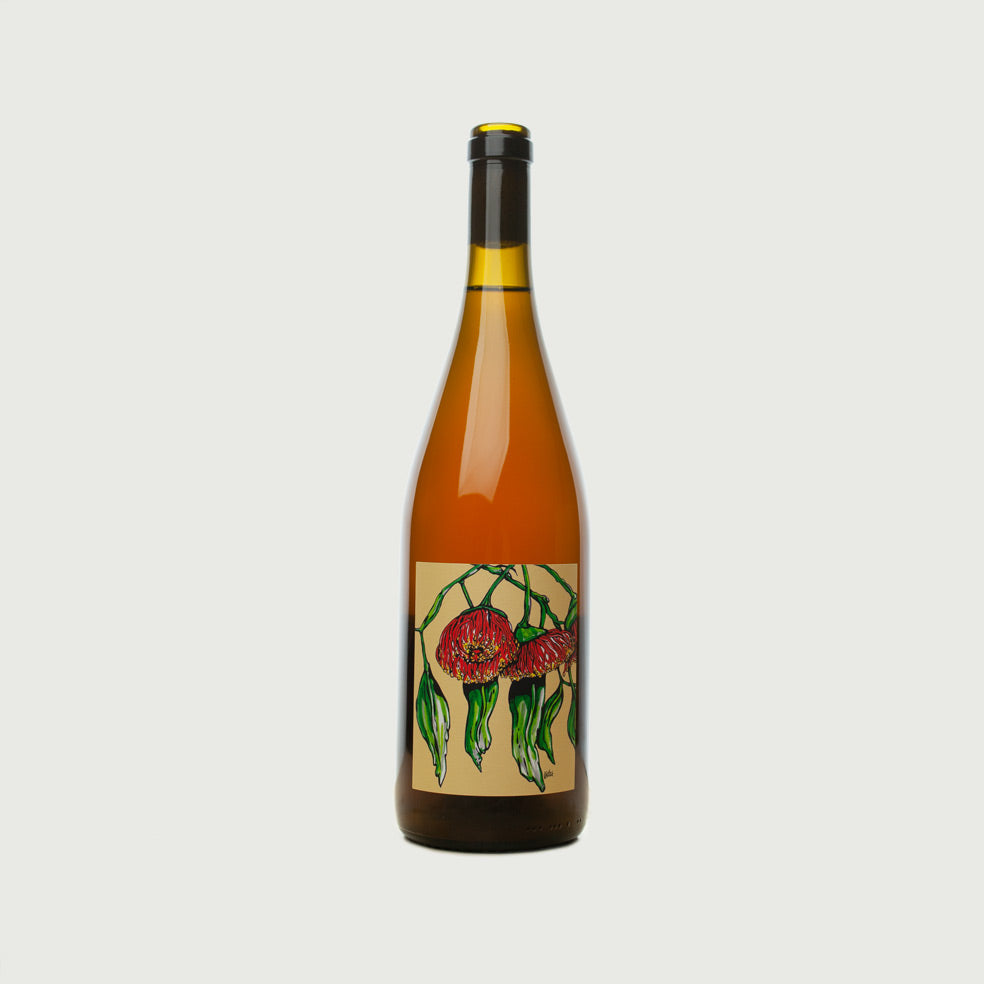 Borachio - 2022 Pinot Grigio