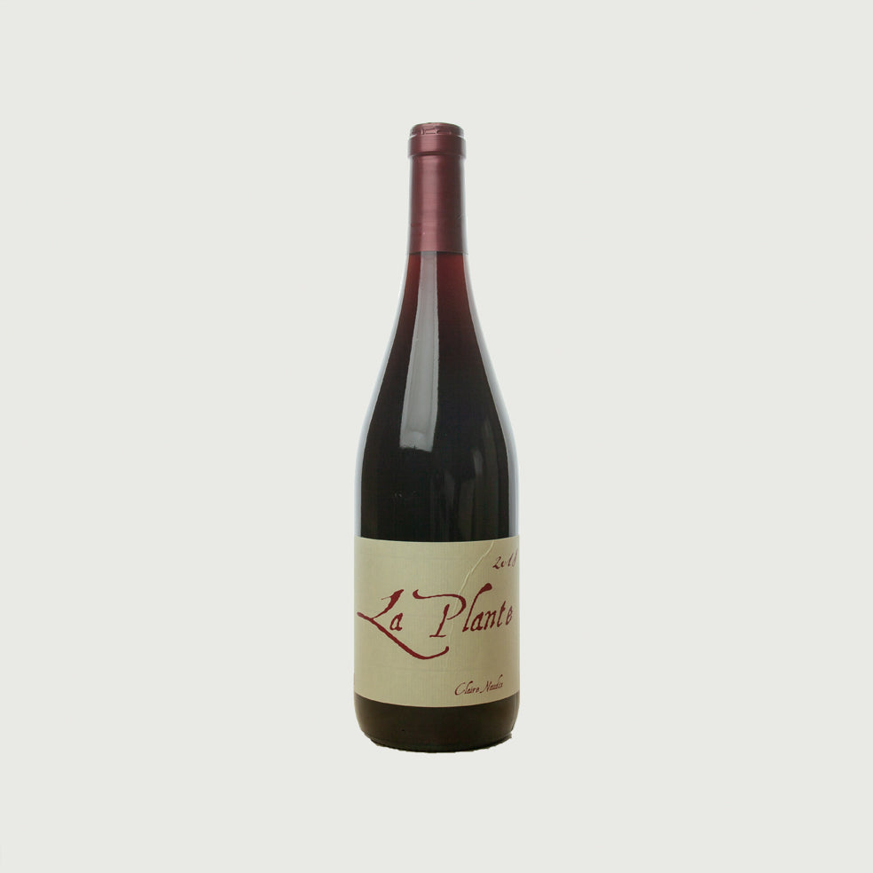 Claire Naudin - 2022 Bourgogne Rouge ‘La Plante’
