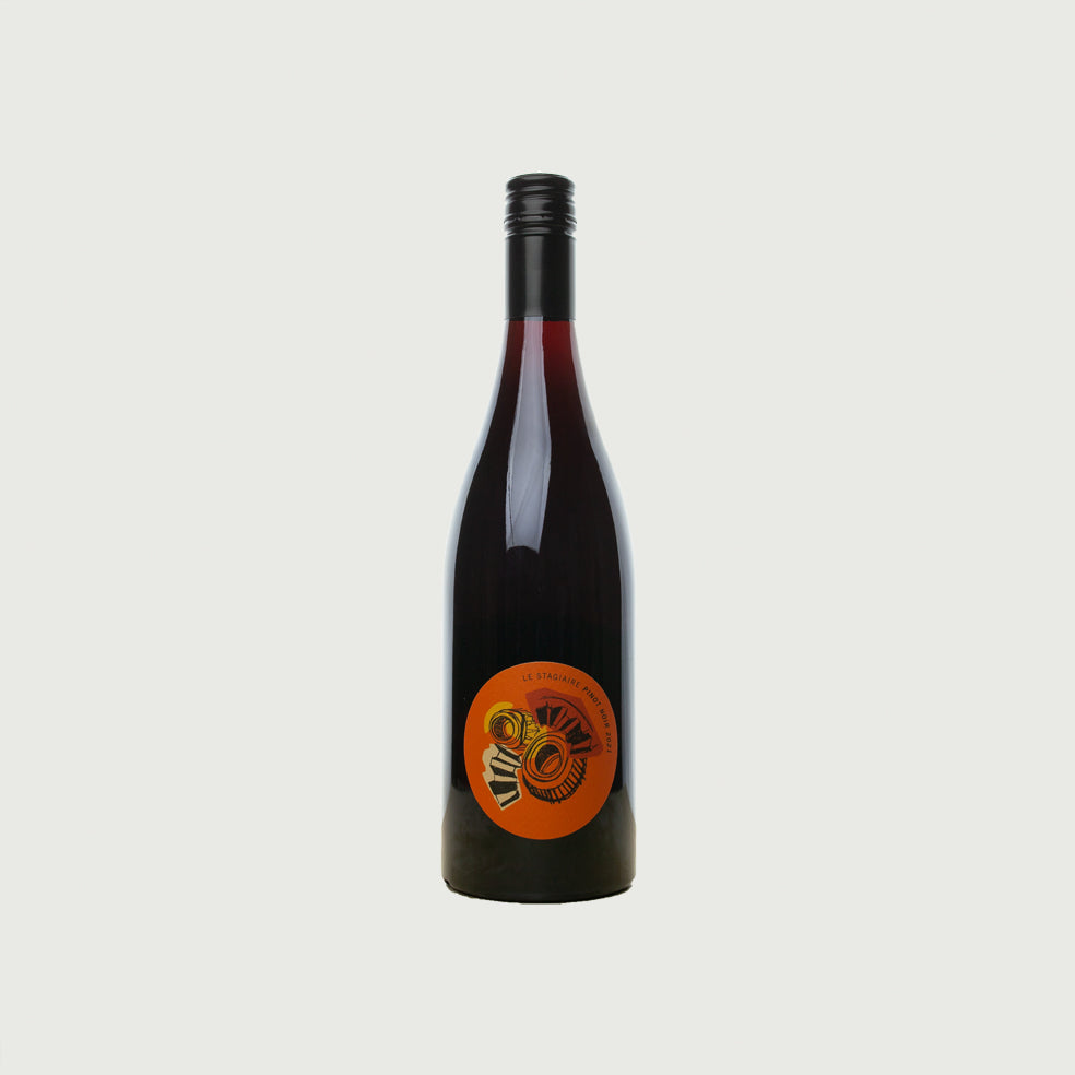 Le Stagiaire - 2023 Pinot Noir